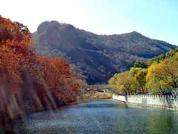 新澳天天免费资料大全，北川羌族自治seo快速排名软件